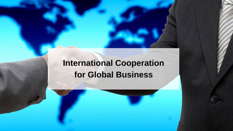 The Role of International Cooperation for Global Business Safety