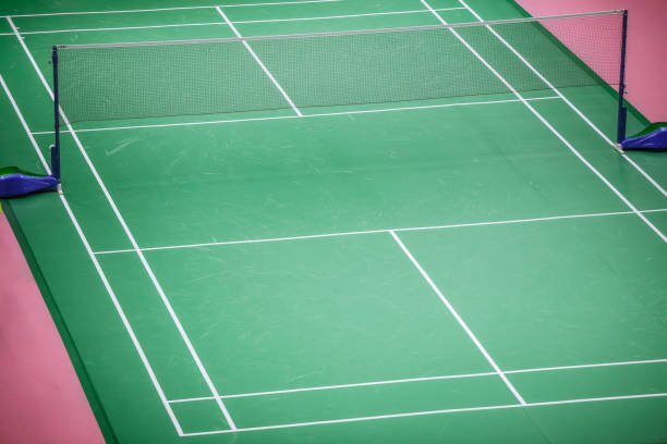 Professional Badminton Net: A Comprehensive Guide to Choosing the Best for Your Game