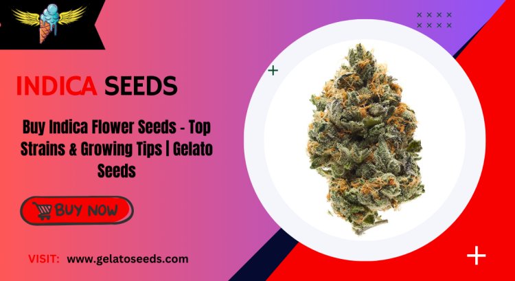 Buy Indica Flower Seeds – Top Strains & Growing Tips | Gelato Seeds