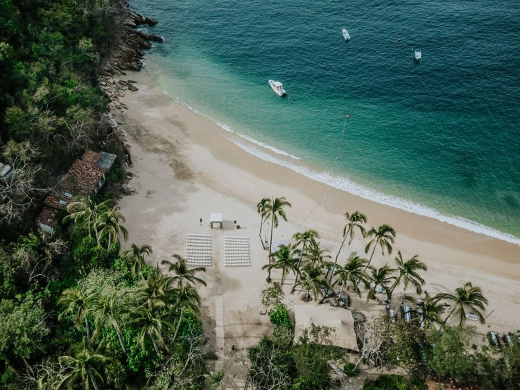 Emotions Deco: The Perfect Eco-Friendly Wedding Decorations for Your Puerto Vallarta Celebration